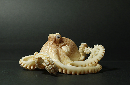 Octopus